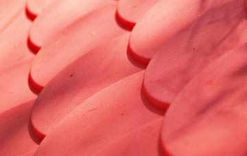 Cokenach plastic roof costs